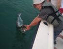 duck key fl fishing 27 20200327