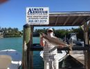 duck key fl fishing 38 20200327